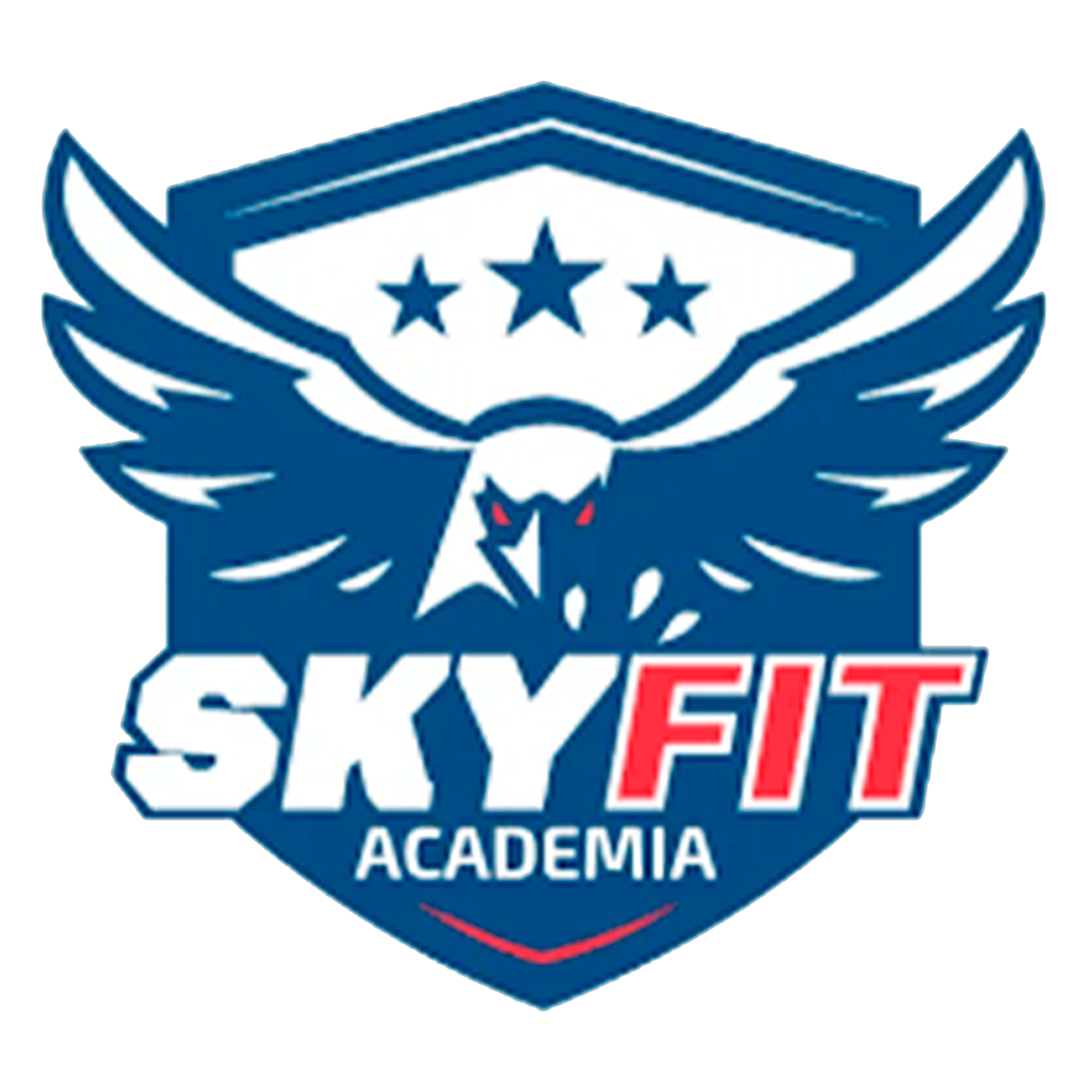 Skyfit Araraquara - Academia - Design Gráfico